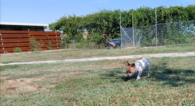 298504707 379458924335963 3112526327933504371 n 768x420