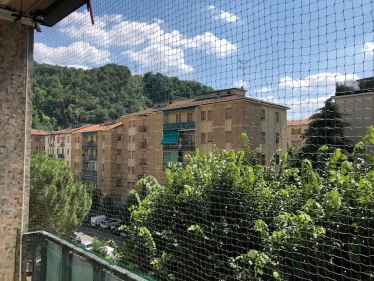 Reti di protezione per gatti 02 768x576