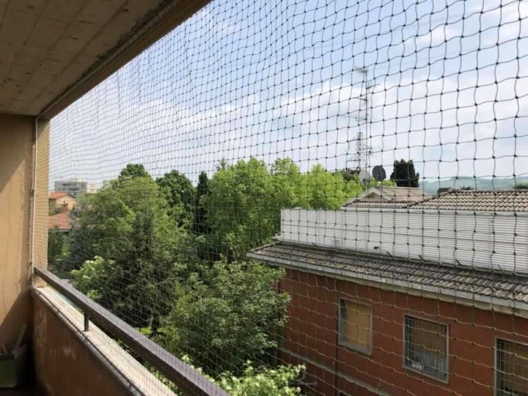 Reti di protezione per gatti 03 768x576