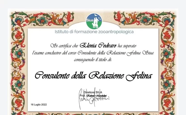 Elenia Codraro Consulente Relazione Felina att 1 768x473