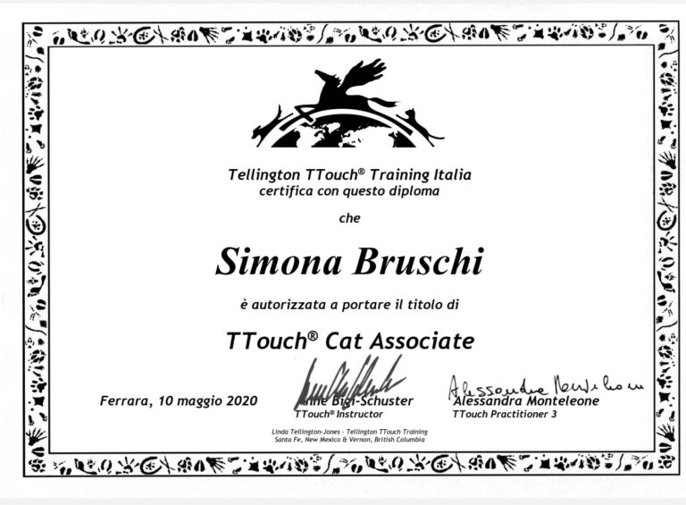Simona Bruschi Operatore in Comportamento e Comunicazione Felina 01 768x565