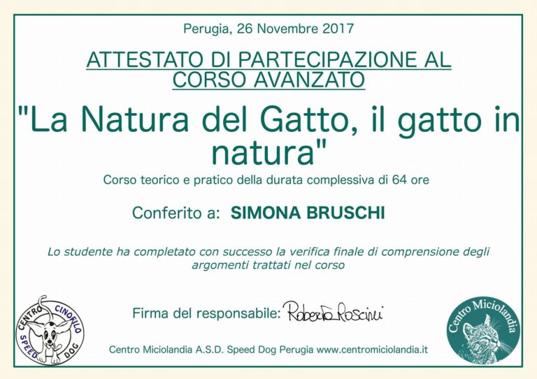 Simona Bruschi Operatore in Comportamento e Comunicazione Felina 04 768x543