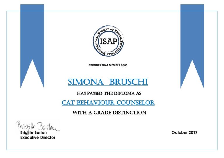 Simona Bruschi Operatore in Comportamento e Comunicazione Felina 06 768x543