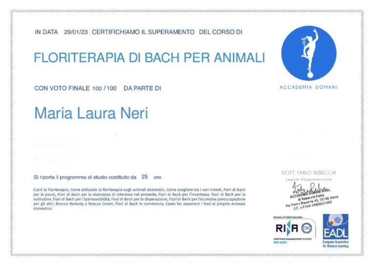 415D12FB E229 45C4 A224 0165DC6A50F6 768x555