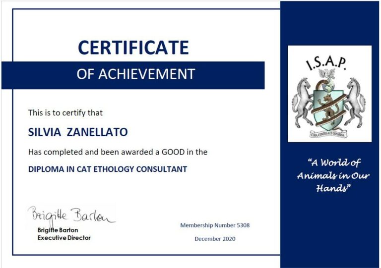 Silvia Zanellato consulente felina certificazione 768x541