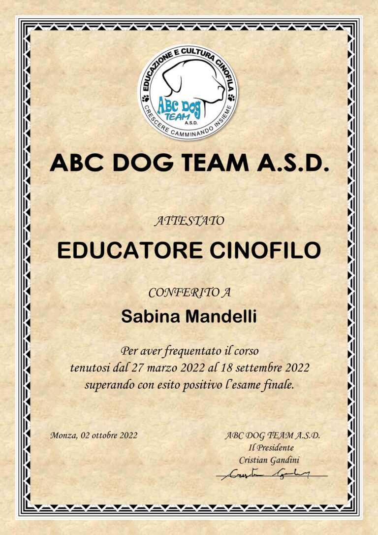 diploma 2020 768x1086