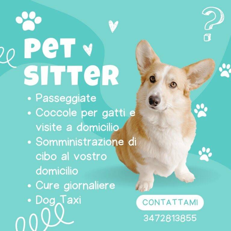immagine PetSitter 768x768