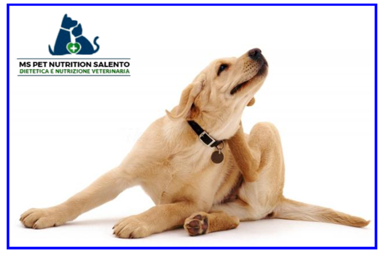 segui le orme ms pet nutrition salento dieta personalizzata 768x506