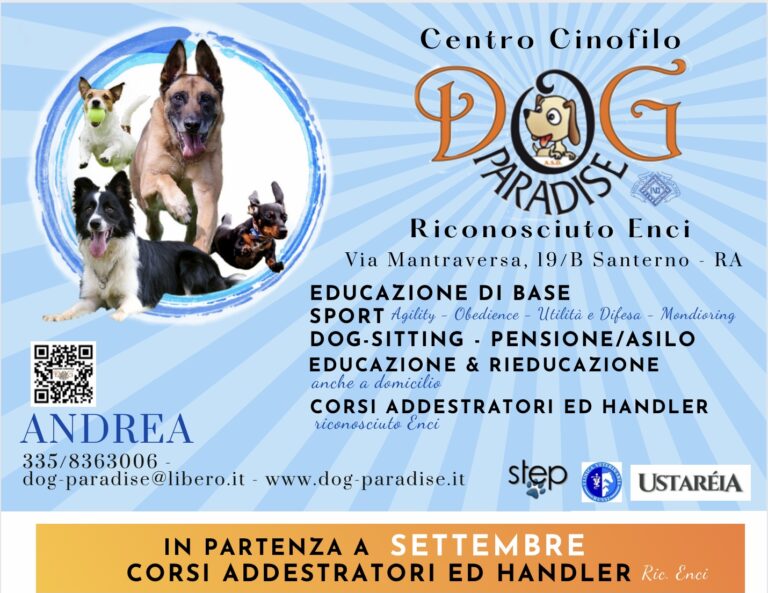 2FCA87E9 FE2C 4A3A ADF0 999905733C75 768x593
