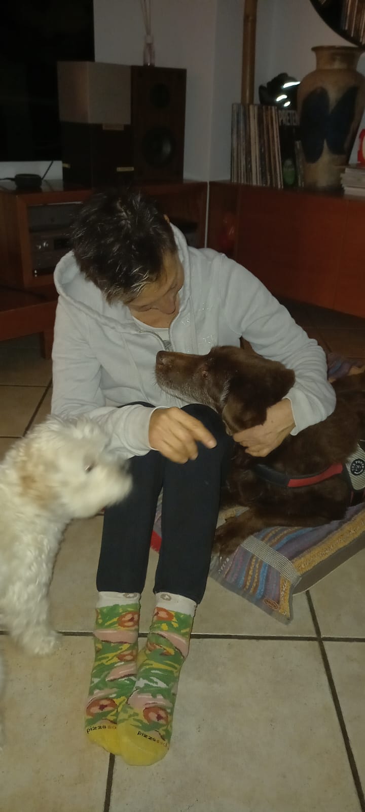 Silvia Morelli pet sitter varese 07