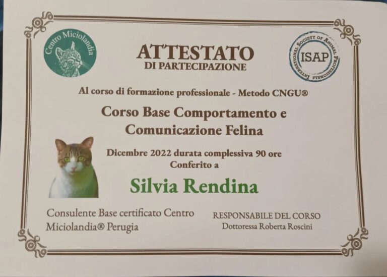 Corso Base Comportamento e Comunicazione Felina