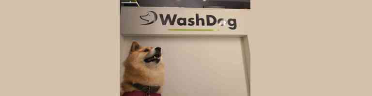Wash dog cop 768x198