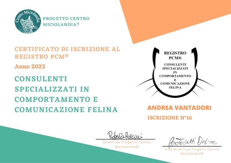 vantadori andrea 768x543