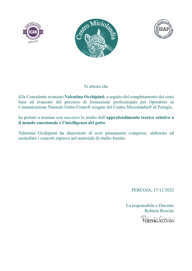 Approfondimento3 Occhipinti page 0001 768x1085