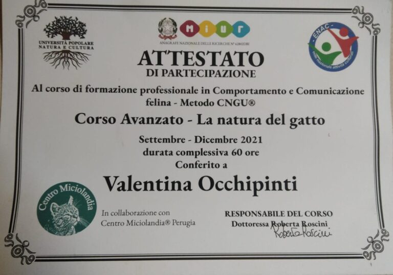 attestato 768x537