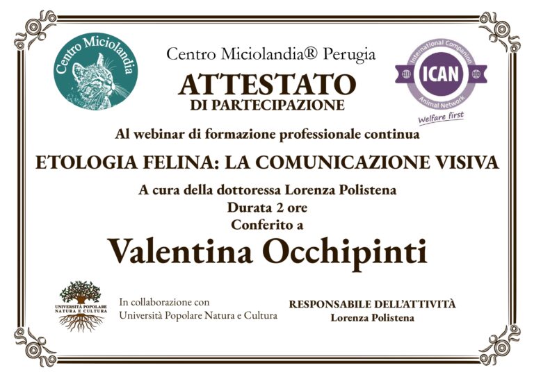 valentina occhipinti 5 page 0001 768x543