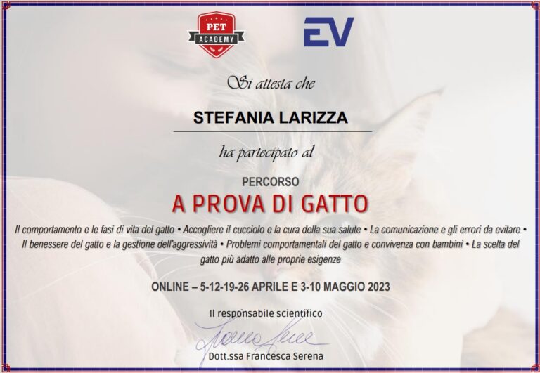 Attestato 2 768x531