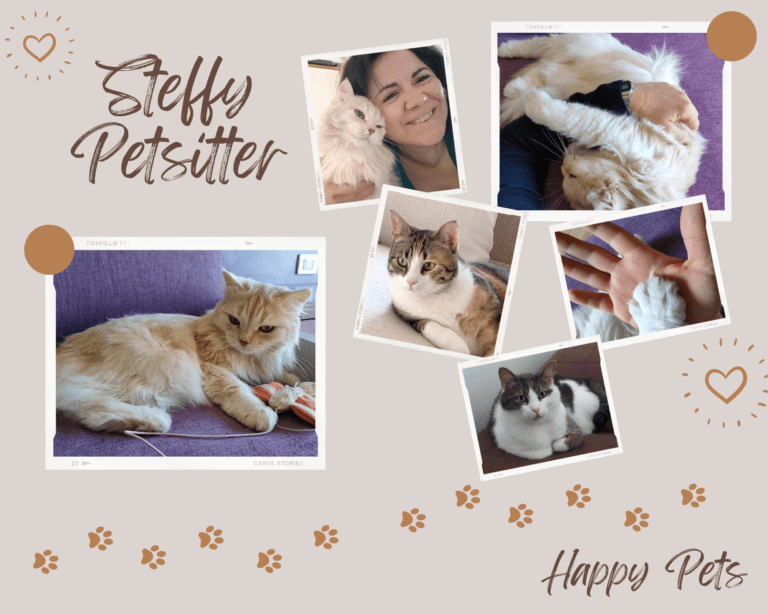 Steffy Petsitter3 768x614
