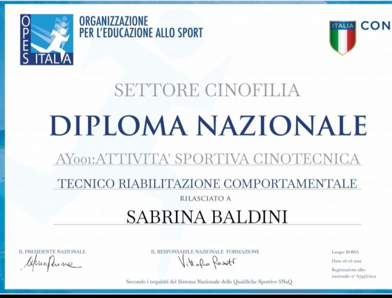 Sabrina Baldini pet sitter Pesaro educatore cinofilo seguileorme 03 768x585