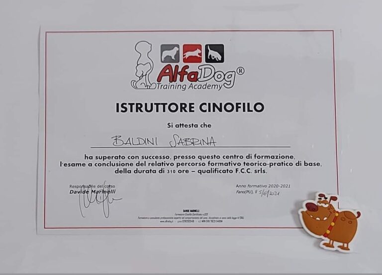 Sabrina Baldini pet sitter Pesaro educatore cinofilo seguileorme 01 768x553