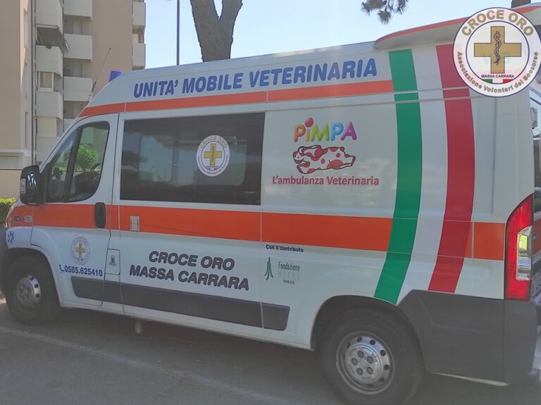 Ambulanza veterinaria Croce Oro Massa Carrara 01 768x575
