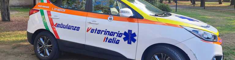 Ambulanze Veterinarie Italiane cop 8 768x198