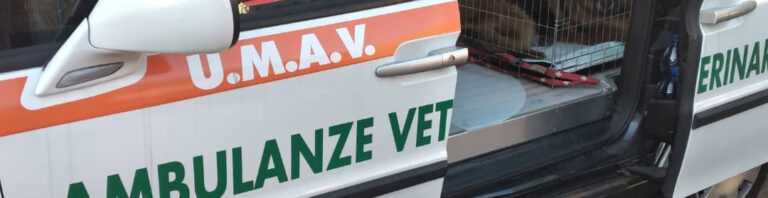 Ambulanze Veterinarie UMAV cop 768x198