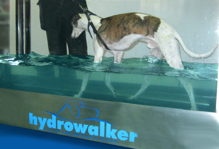 Hydrowalker Photo 768x524