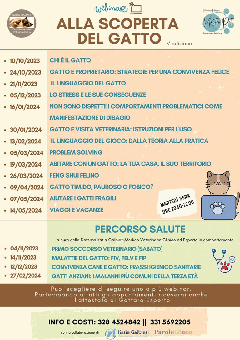 ALLA SCOPERTA DEL GATTO LOCANDINA EMAIL 768x1086