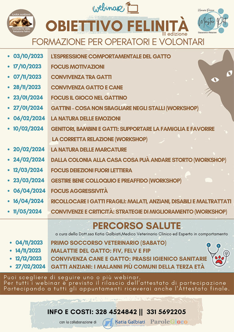 OBIETTIVO FELINITA LOCANDINA EMAIL 768x1086