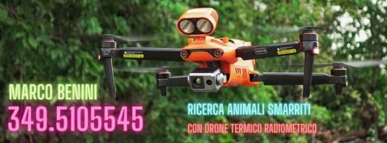 ricerca anim 2 768x284