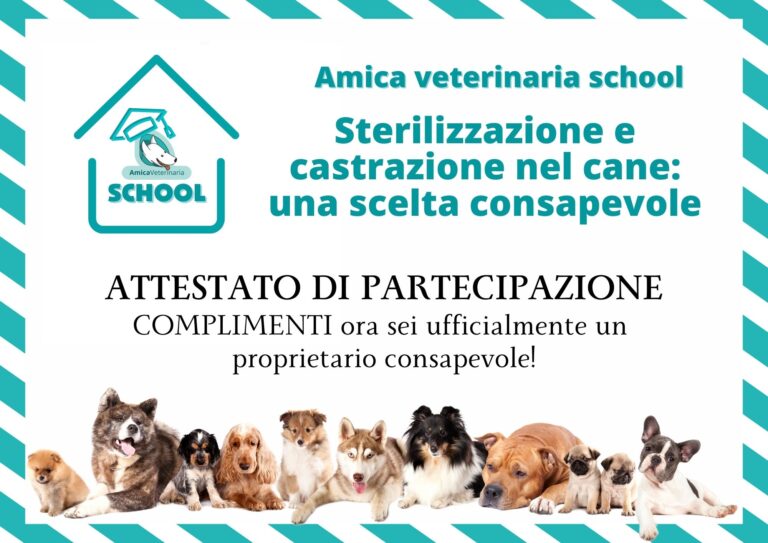Sterilizzazione e castrazione del cane attestato 1 768x543