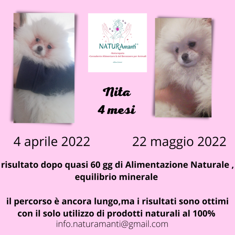 4 aprile 2022 768x768
