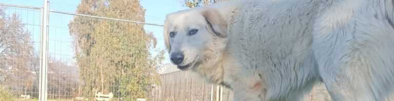 Con Fido Nel Cuore Avellino cop 1 768x198