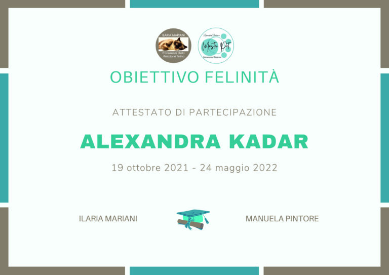 DIPLOMa OBIETTIVO FELINITa KADAR 768x543