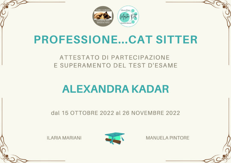 DIPLOMa cat sitter KADAR 768x543