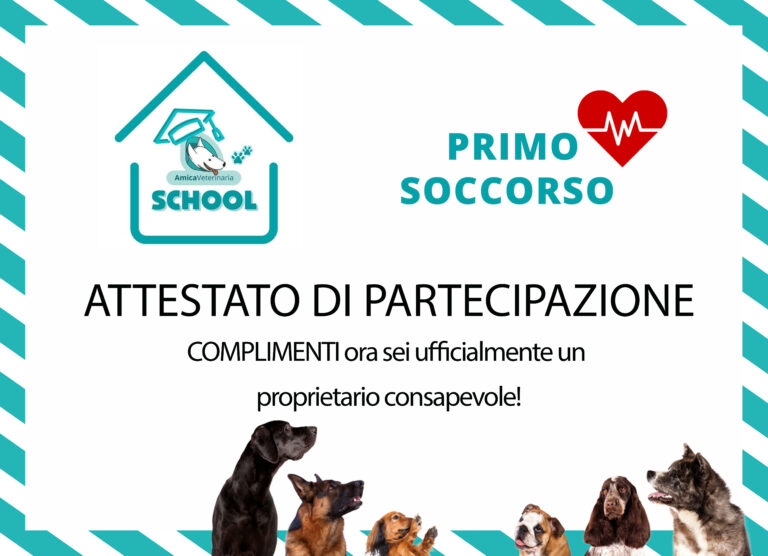 Attestato Primo soccorso cani 768x556