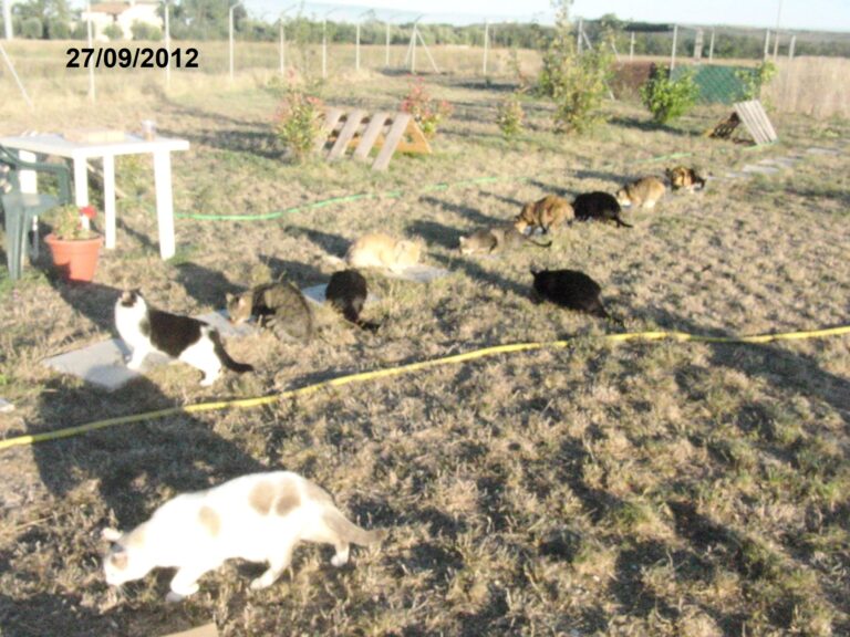 02 23 settembre 2012 1 768x576