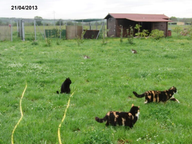03 21 aprile 2013 1 768x576
