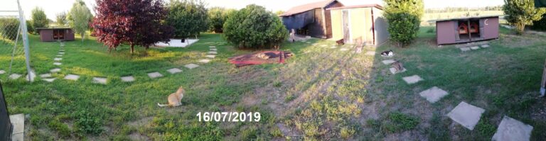 08 16 luglio 2019 1 768x199