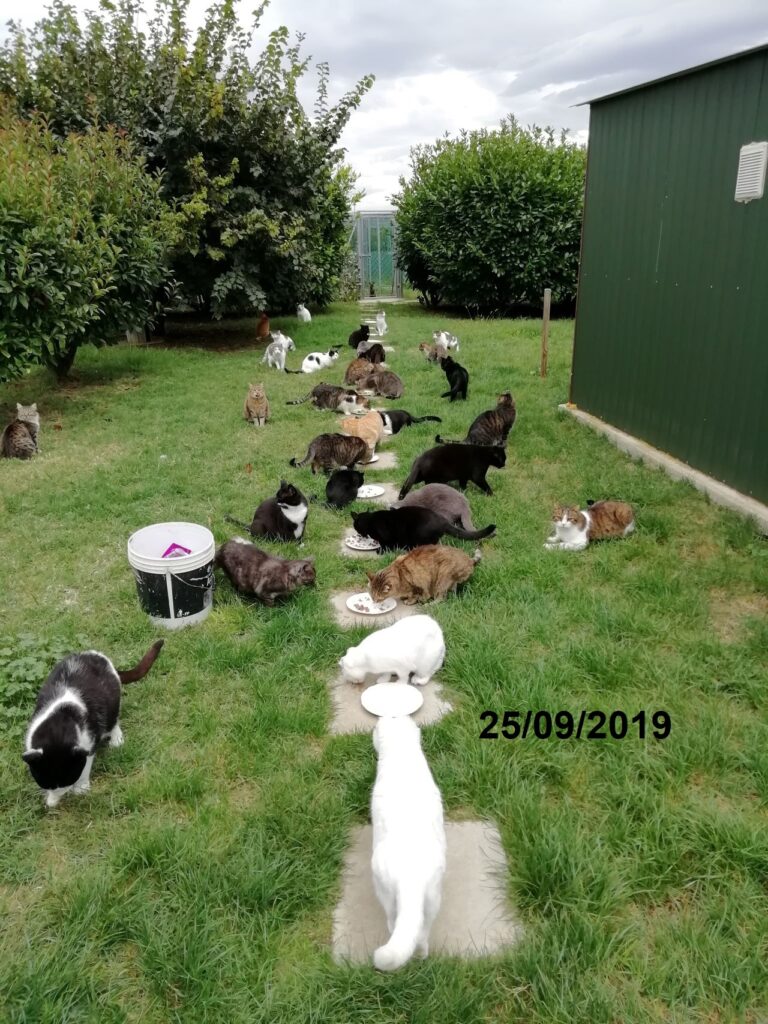 09 25 settembre 2019 1 768x1024