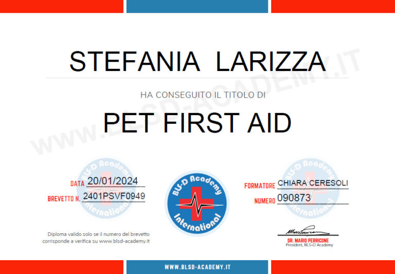 Per First Aid 768x533