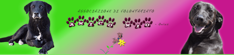 bannerHome AmicoMio 768x180