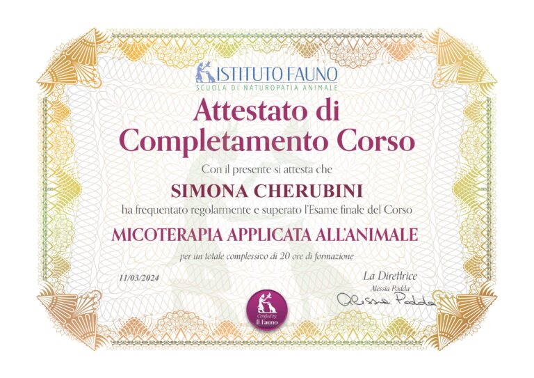 Attestato micoterapia S.Cherubini 768x543