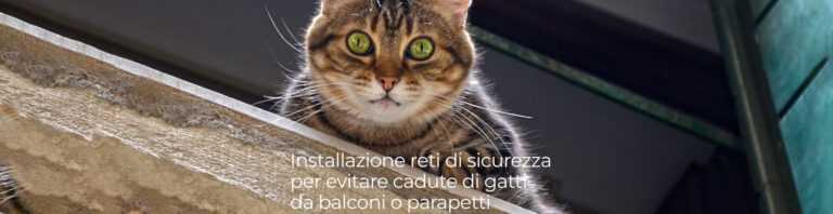 Safety cat reti anticaduta gatti cop 768x198