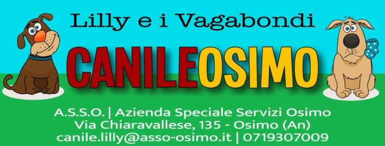 copertina canileosimo 768x292