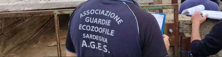 Guardie ecozoofile olbia cop 768x198
