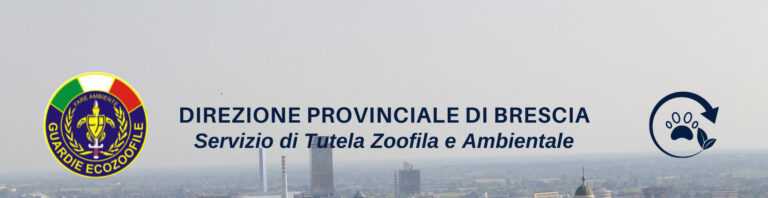 Guardie zoofile FareAmbiente Brescia cop 768x198