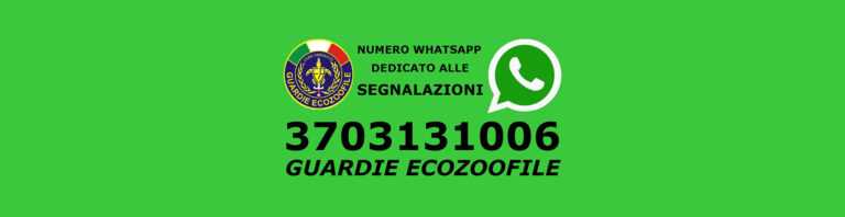 Guardie zoofile fare ambiente cop 768x198