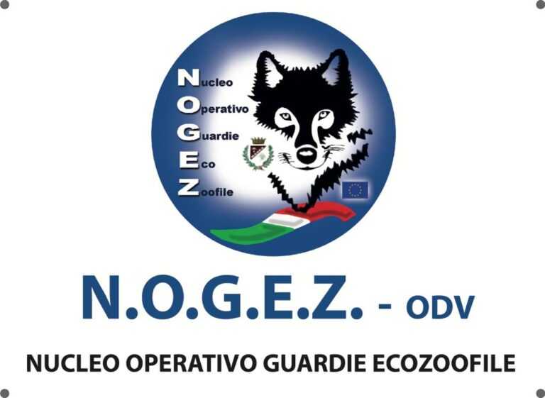 Nogez targa 768x561